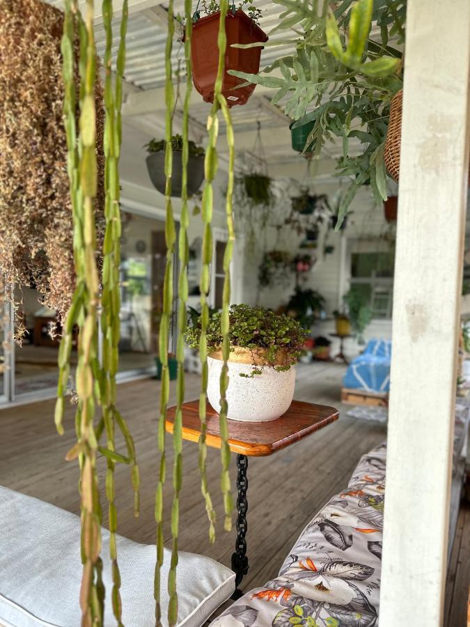 Lucky House Villa Auckland Luaran gambar